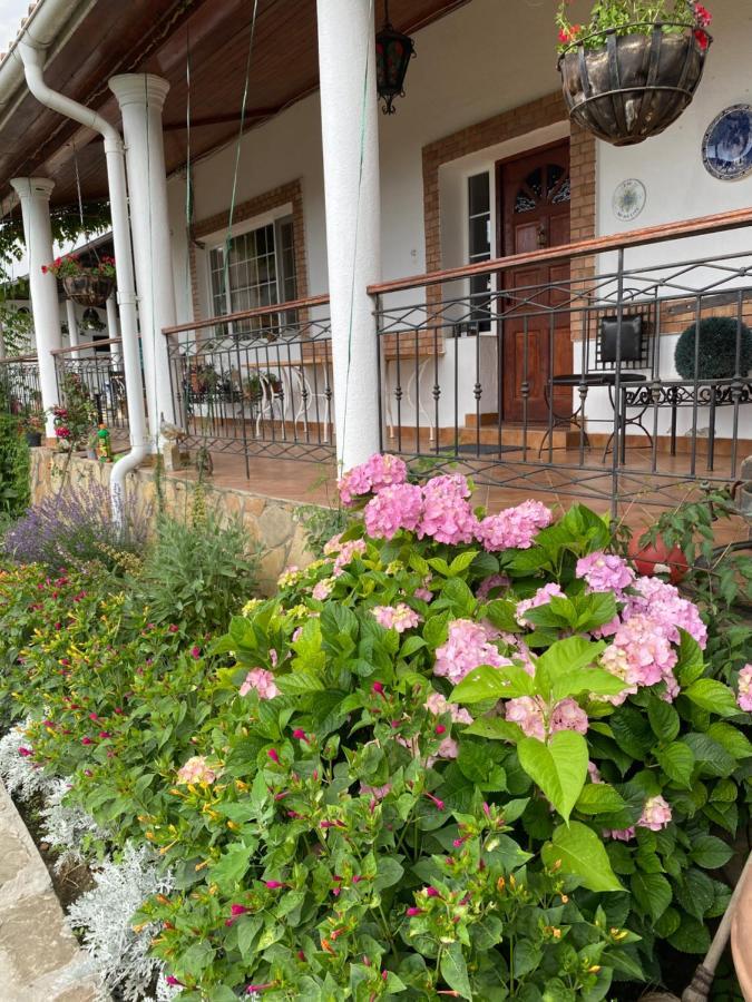 Country Club La Mesteceni Sebeş Dış mekan fotoğraf